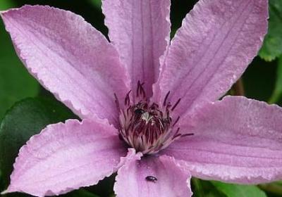 提组词语是什么(优选40句) 提组词语是什么(优选40句)