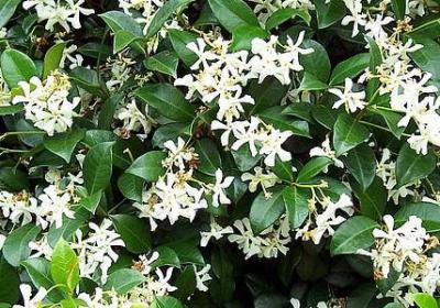 敬老养老的词语(必备50句) 敬老养老的词语(必备50句)