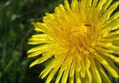 描写香港的词语(共40句)