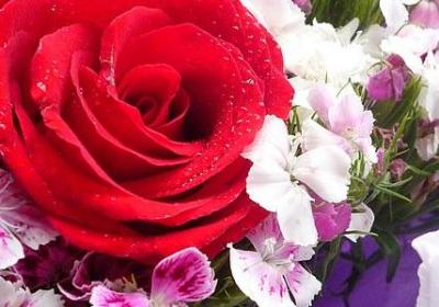 描述多年友谊的词语(热门40句) 描述多年友谊的词语(热门40句)