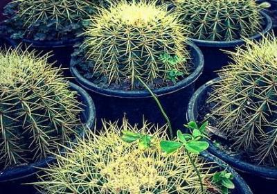 暖烘烘照样子写词语(通用50句) 暖烘烘照样子写词语(通用50句)