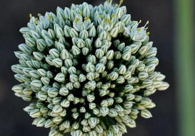 有关思念的词语(推荐50句) 有关思念的词语(推荐50句)