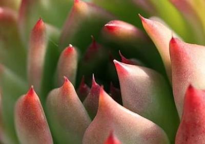 欢的词语有哪些(汇总40句)