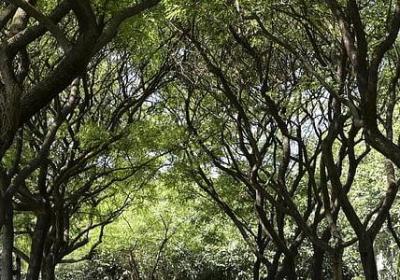 毁组词语是什么(汇总50句)