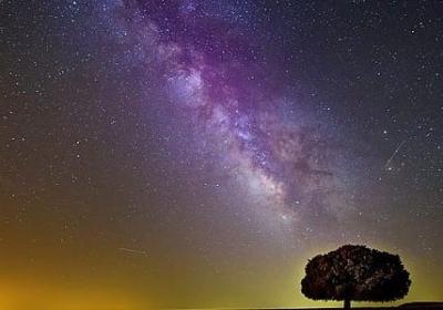 欣开头的词语(汇总10句)