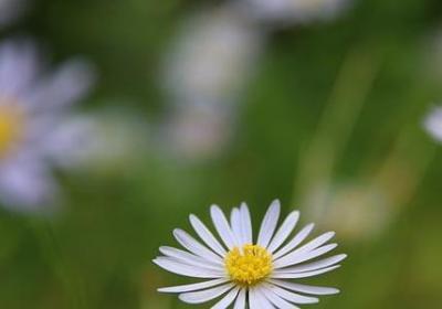 欢迎回家的词语(60句)