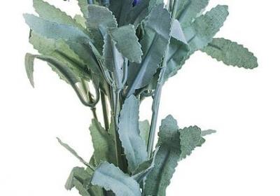 普通话考试词语(通用40句)