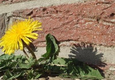 渴的词语有哪些(热门41句)