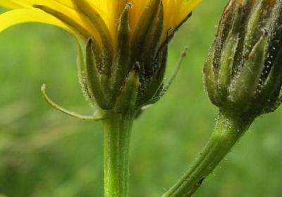 烁可以组什么词语(71句)