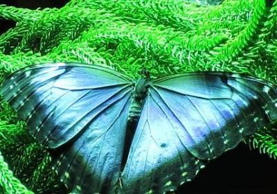 环的四字词语(合集32句)