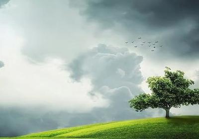 游组词语有哪些(精选71句)