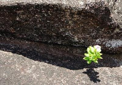 法的词语有哪些(推荐40句)