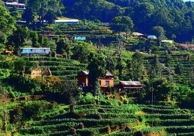 烦恼得什么填空词语(通用20句)