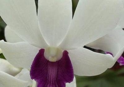 片可以组什么词语(汇总12句)