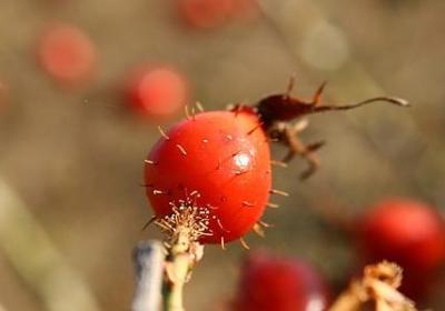 沙沙照样子写词语(实用80句)