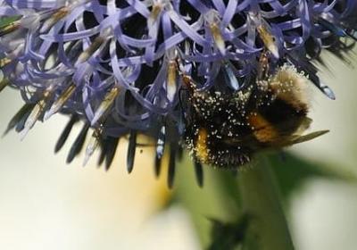 玛能组什么词语(通用11句)