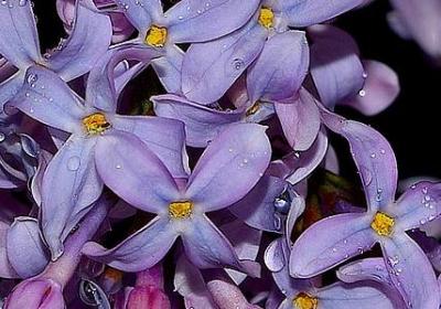 热什么什么三字词语(汇总50句)