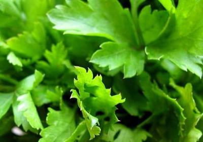 深奥又有涵义的词语(实用80句)