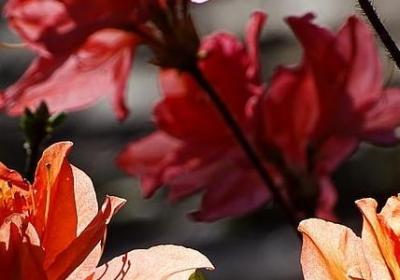 满的四字词语(通用69句)