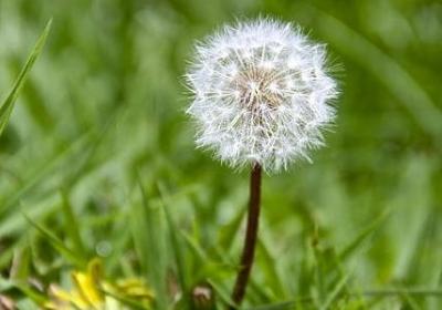 照样子写词语打扫打扫(必备40句)