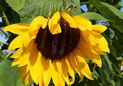 沮丧的词语解释(70句)