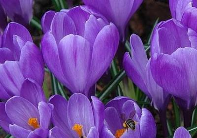 监禁罪犯的地方的词语(汇总40句)