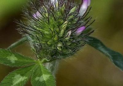 积极阳光正能量的词语(推荐40句) 积极阳光正能量的词语(推荐40句)