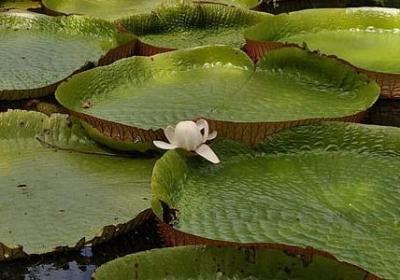 盘组词语四个字(精选70句)