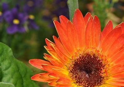 相近的四字词语(热门40句) 相近的四字词语(热门40句)