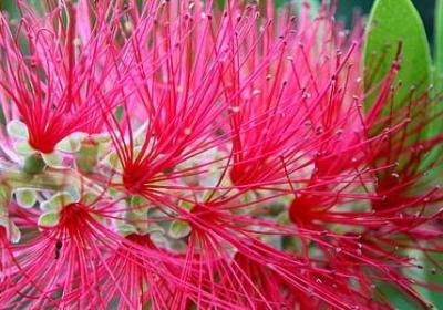 生动词语有哪些(汇总50句)