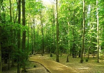 砂能组什么词语(合集11句)