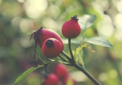 类似寻找的词语(合集51句)