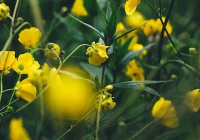 育组词有哪些词语(通用51句)