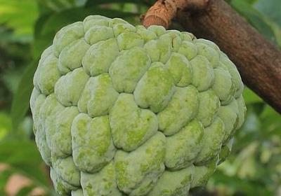 繁多而凌乱的相应词语(精选10句)