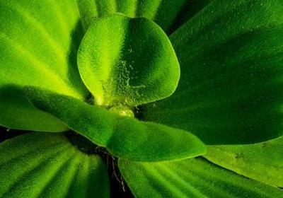 脑力锦标赛随机词语(必备50句) 脑力锦标赛随机词语(必备50句)