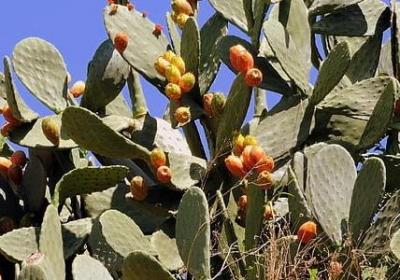 自己相信自己的词语(精选48句)