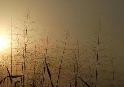 耸组词有哪些词语(汇总40句) 耸组词有哪些词语(汇总40句)