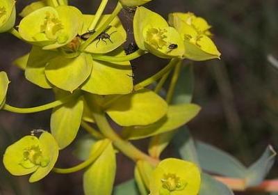 精神品质的四字词语(汇总68句)