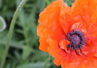 衍怎么组词语(合集40句)