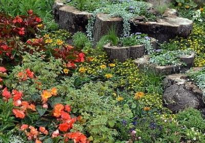 表示数量很多的词语(汇总50句) 表示数量很多的词语(汇总50句)