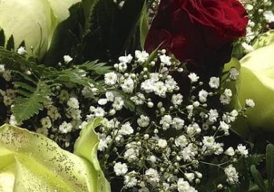 荫组词有哪些词语(通用22句)