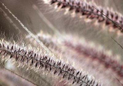 表示热的词语(合集40句)