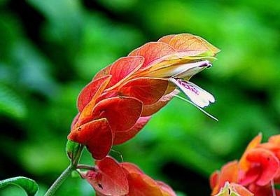 表示哭的四字词语(热门50句)