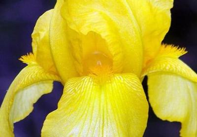 表示夜晚的孤独词语(精选40句)