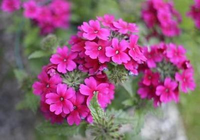 表示生气词语(实用80句)