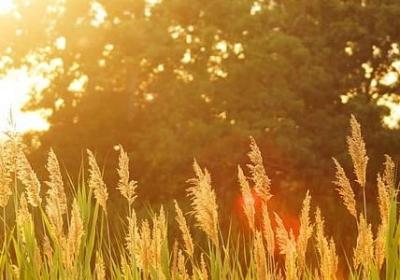 访的四字词语(共80句)