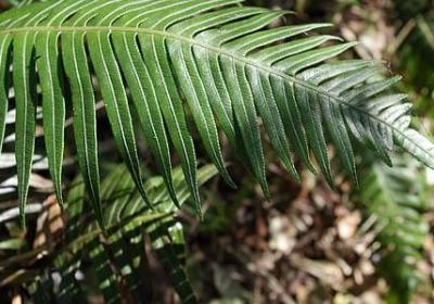 让的组词有哪些词语(合集42句)