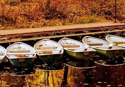 说明道理的词语(优选40句)