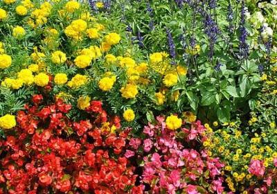 词语排成句子(推荐50句)