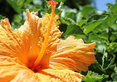 词语接龙果然反套路(优选50句)